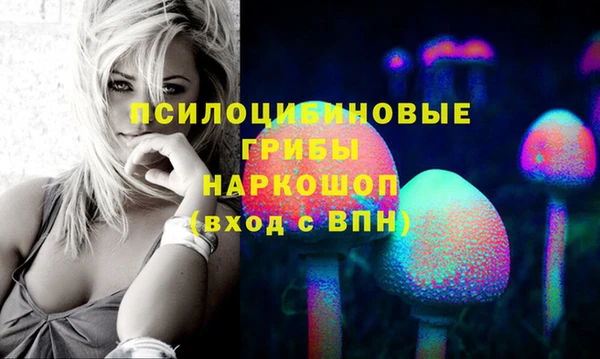 а пвп мука Абаза