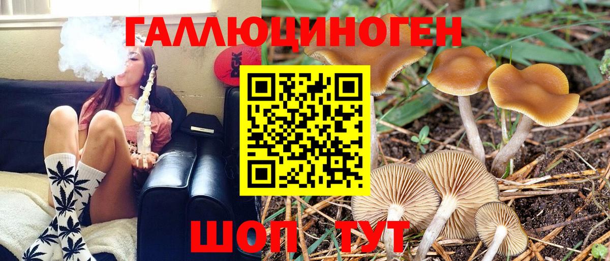 Галлюциногенные грибы мицелий Камышлов