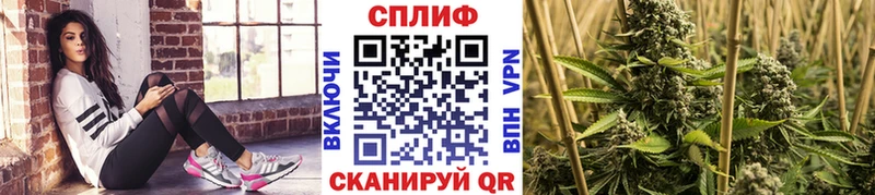 Шишки марихуана план  KRAKEN   Камышлов 