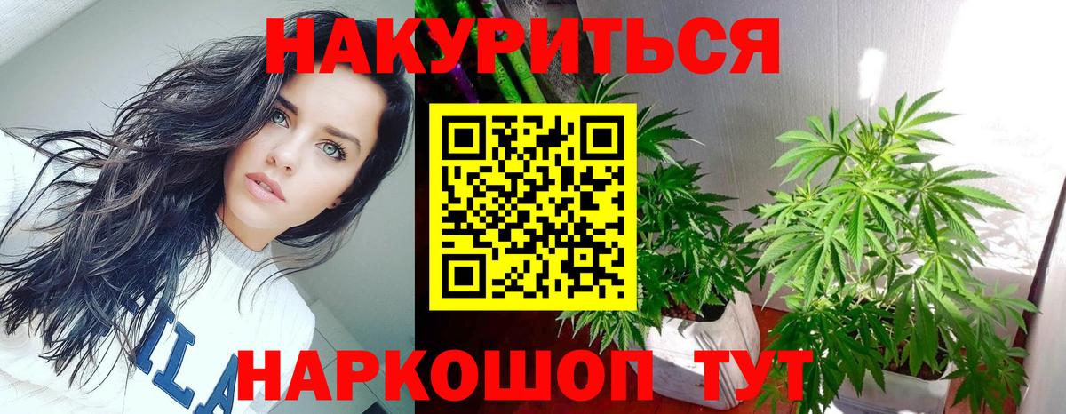 Каннабис конопля  Бошки Шишки тримм  Камышлов  Шишки марихуана семена  Вход с VPN  МАРИХУАНА марихуана 